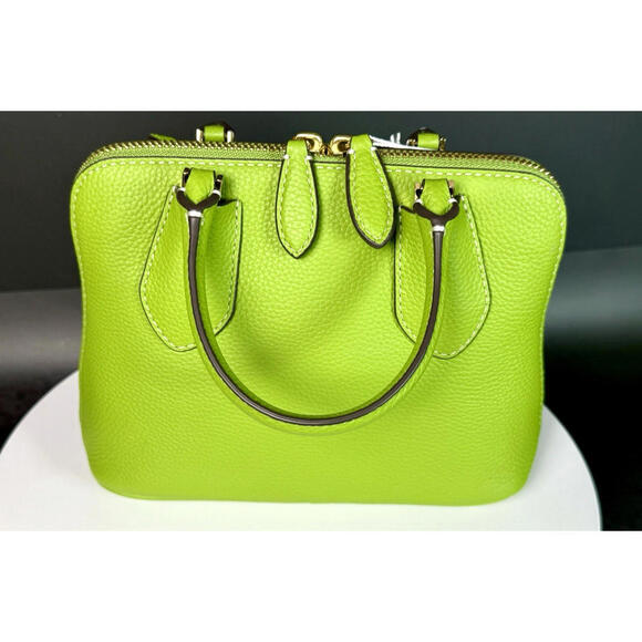 NWT Tory Burch Mini Swing Satchel Bag Crossbody Pebbled Leather Green Spring - Picture 9 of 12